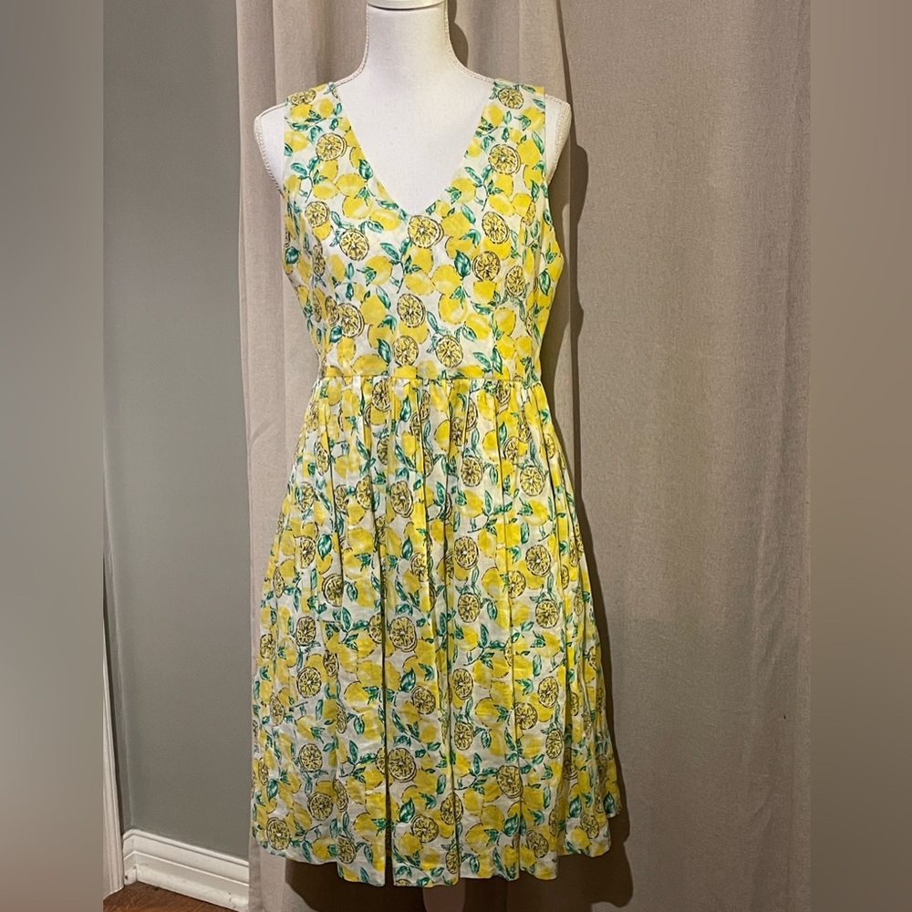 Everly Women’s Linen Blend Dress Size L Stylish Lemon Print Fully Lined